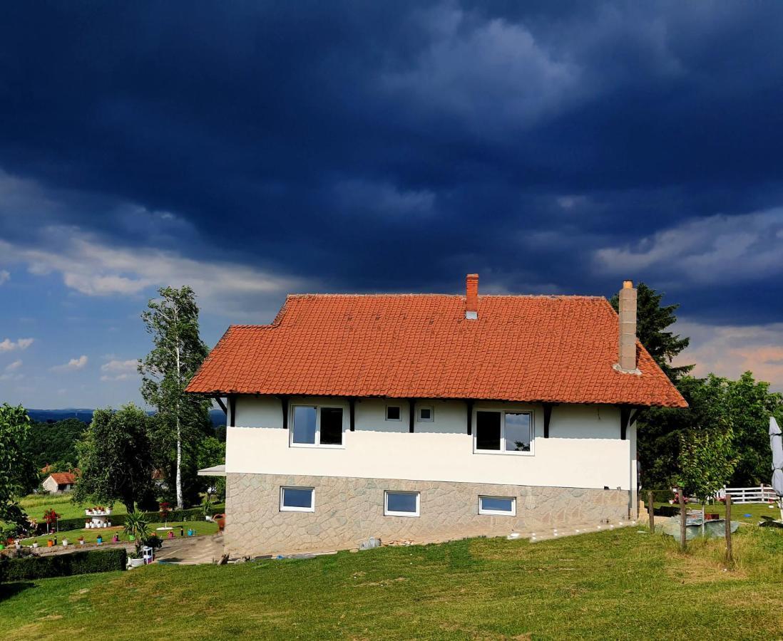 Odmor Na Selu Babajic Apartman Ljig Kültér fotó