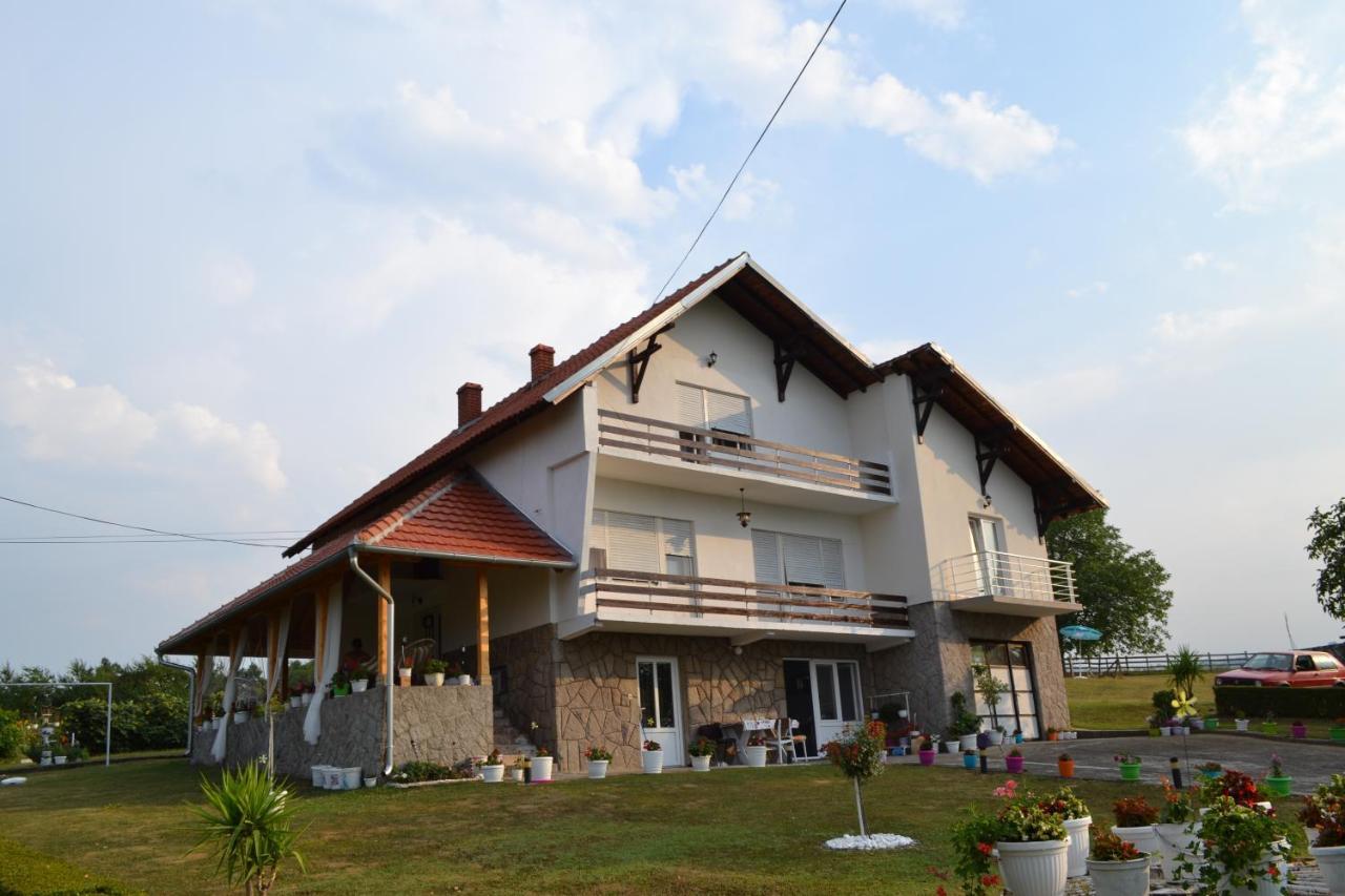 Odmor Na Selu Babajic Apartman Ljig Kültér fotó