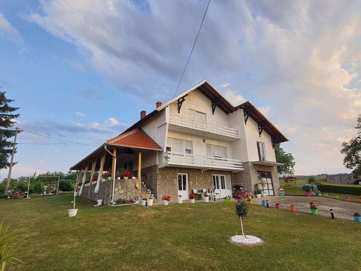 Odmor Na Selu Babajic Apartman Ljig Kültér fotó
